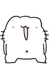 Кот