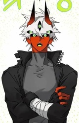Райдер